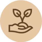 icon4
